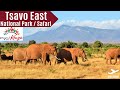 TSAVO EAST NATIONAL PARK SAFARI | BIG 5 | ULTRA HD | GAME DRIVE | AMAZING KENYA SAFARI IMPRESSIONS