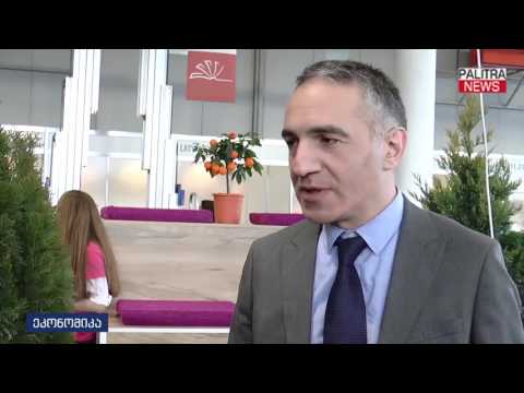 ექსპო ჯორჯიაში განათლების საერთაშორისო გამოფენა გაიხსნა