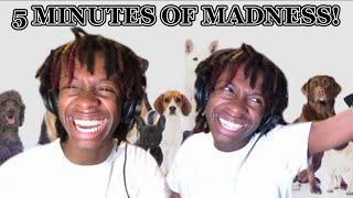 OMG! ericdoa - attitude w/ blackwinterwells, Wido, Grandee, quinn, kurtains, glaive & Chach REACTION