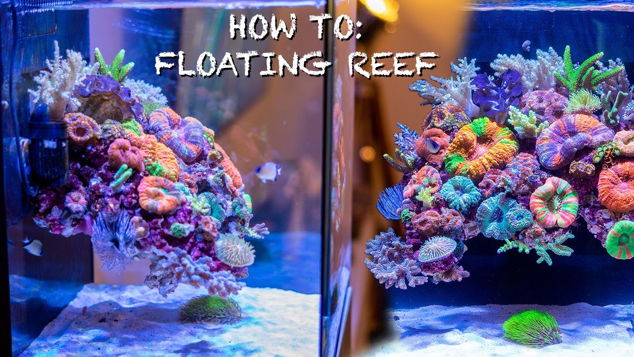 Vervreemding vervorming Sluiting REEF AQUASCAPES - "floating reef tank" HOW TO SETUP - Nano aquarium -  YouTube