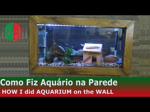 Vídeo: Como Escolher Um Aquário De Parede