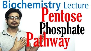 Pentose phosphate pathway