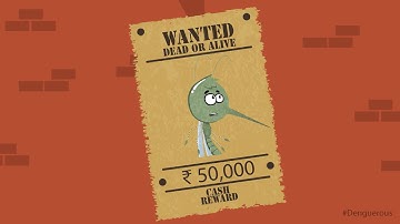 #Denguerous - The Dengue virus carrier - Info on Dengue Virus and Fever