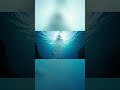 80% do Oceano Nunca Foi Explorado. O Que Vive Lá?
