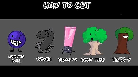 How to get 5 Random characters in Find The BFB Characters