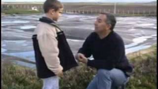 Que Se Hace Con Los Desechos Del Cerdo - Agrosuper, Chile