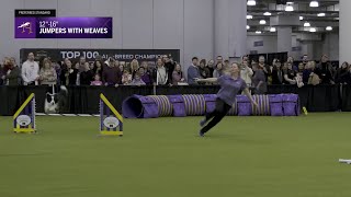 2025 Jumpers with Weaves Preliminaries