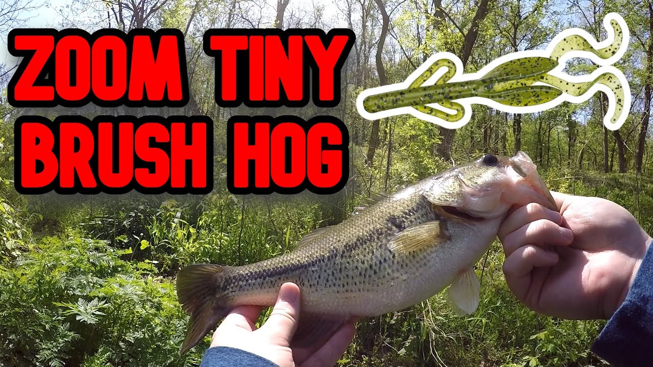 Creek Fishing for Bass trying the Zoom Tiny Brush Hog 