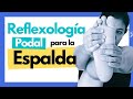 ✅ CÓMO ALIVIAR el DOLOR de ESPALDA con Reflexología podal 🦶