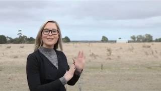 Julia Warren Real Estate - 52 Curtain Drive, Leopold