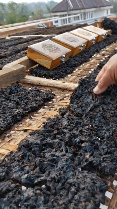 This is the most expensive tobacco in the world