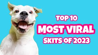 Layla the Boxer’s Most Viral Skits of 2023 by Layla The Boxer 278,733 views 4 months ago 12 minutes, 8 seconds