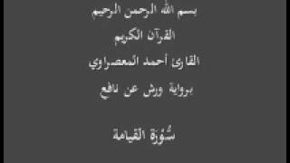 سورة القيامة  برواية ورش عن نافع القارئ أحمد المعصراوي