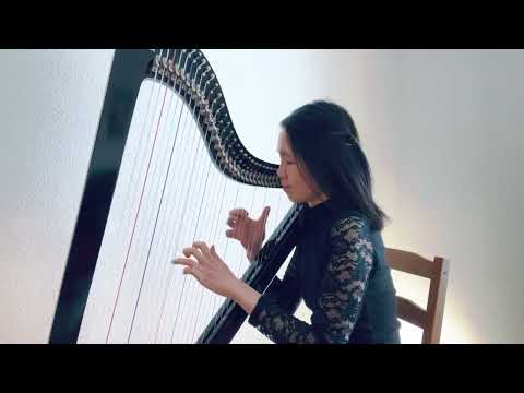 AKB48 - Koi Suru Fortune Cookie (harp cover) | 恋するフォーチュンクッキー
