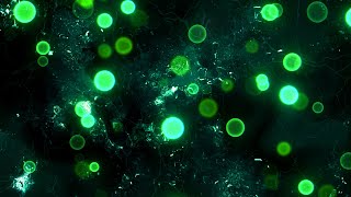 Green Particles and Textures Background video | Footage | Screensaver