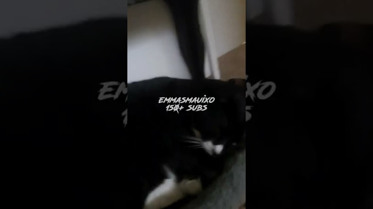 hand writing reveal!! 😜💞💐