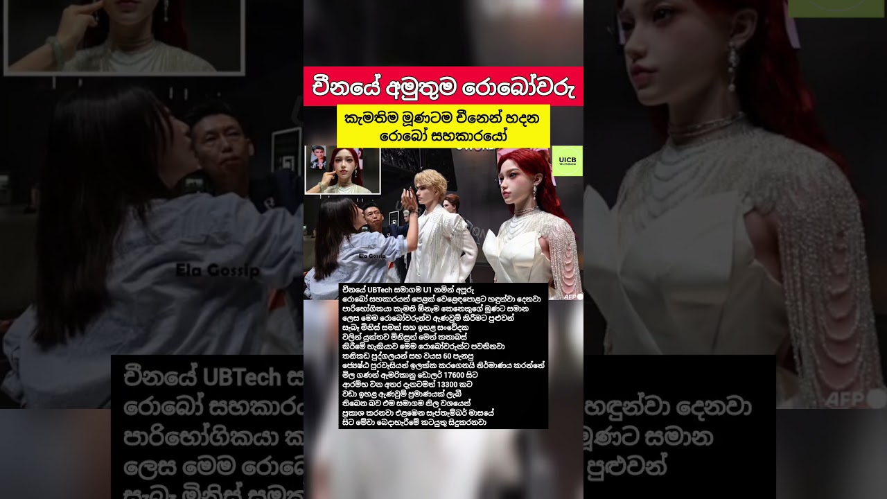 කැමතිම කෙනාගේ මූණටම චීනෙන් රොබෝ සහකාරයෝ හදලා දෙනවා #Shorts #SriLanka #History #Facts