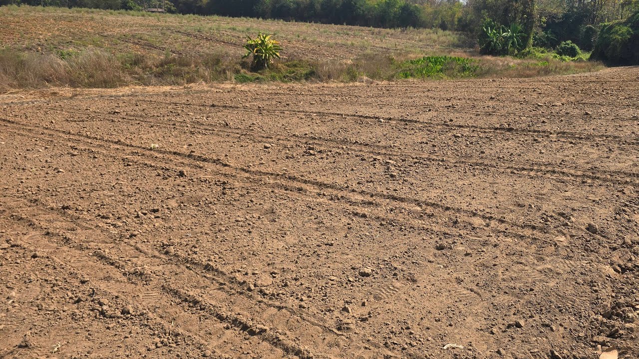 นานเจอกัน