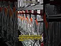 자동 소스 충진기: 고속 병입 및 캡핑 자동화 공정 #worker #process #fillingmachine #foodtech #packaging