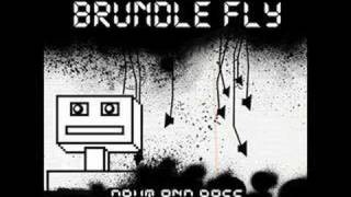 Audio - Brundle Fly