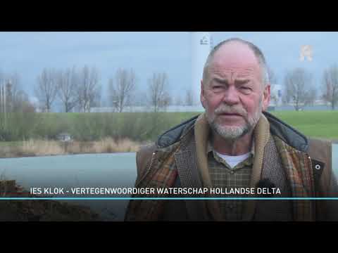 'Duizend knotwilgen kappen was blunder van waterschap'