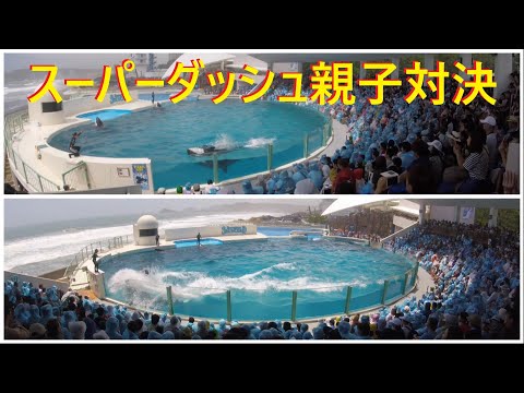 おかえりなさい 怪我から復帰した小松トレーナーさんです Orca Performance