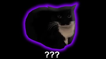 7 "Maxwell The Cat a" Sound Variations In 35 Seconds