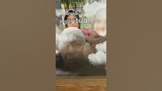 @Setangkai anggrek bunga