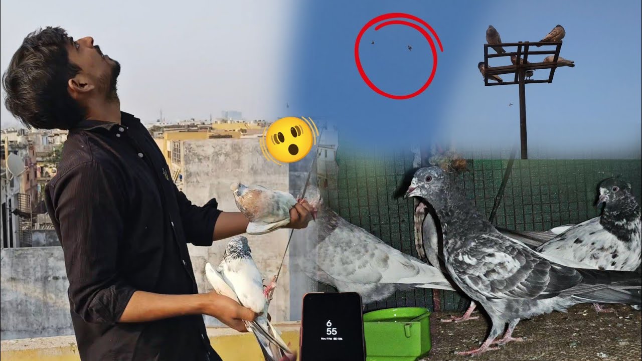 Time 😲!! Abb Inko Sham Ko Udana BndD ❌