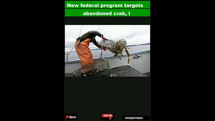 New federal program targets abandoned crab, lobster traps|#shorts