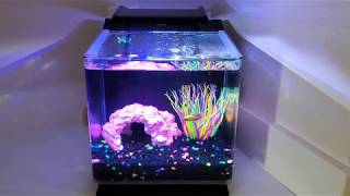 New Glofish  3 Gallon Betta Aquarium Kit Review 