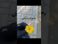 رباه جرأني 