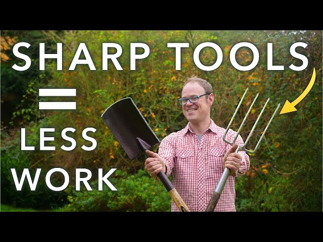 Sharpen Your Lawn and Garden Tools Like a Pro