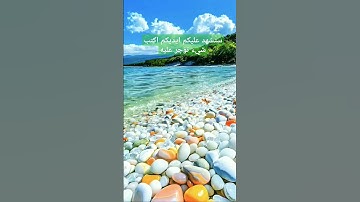 خواتم سوره الحشر بصوت القارئ الشيخ فارس عباد 💚♥️