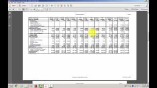 Level 3 Variance Report Overview
