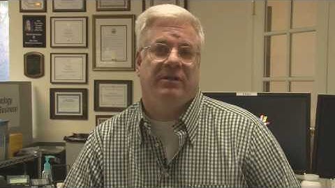 Improving the Lotus Foundations customer experience