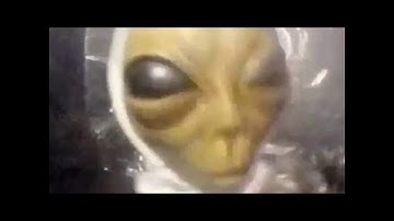 Download Armanem Song Alien Meme Song Mp3 Free And Mp4