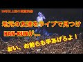 ターバンの位置がまだ高い10年以上前のHAN-KUN ライブ【湘南乃風】