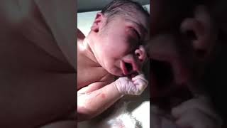 Newborn baby ? | newborn baby care trending ytshorts love viral youtubeshorts yt cutebaby