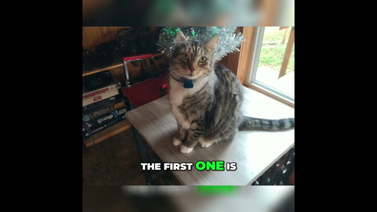 Purr-man Presents the Purrs N' Hats Coloring Book