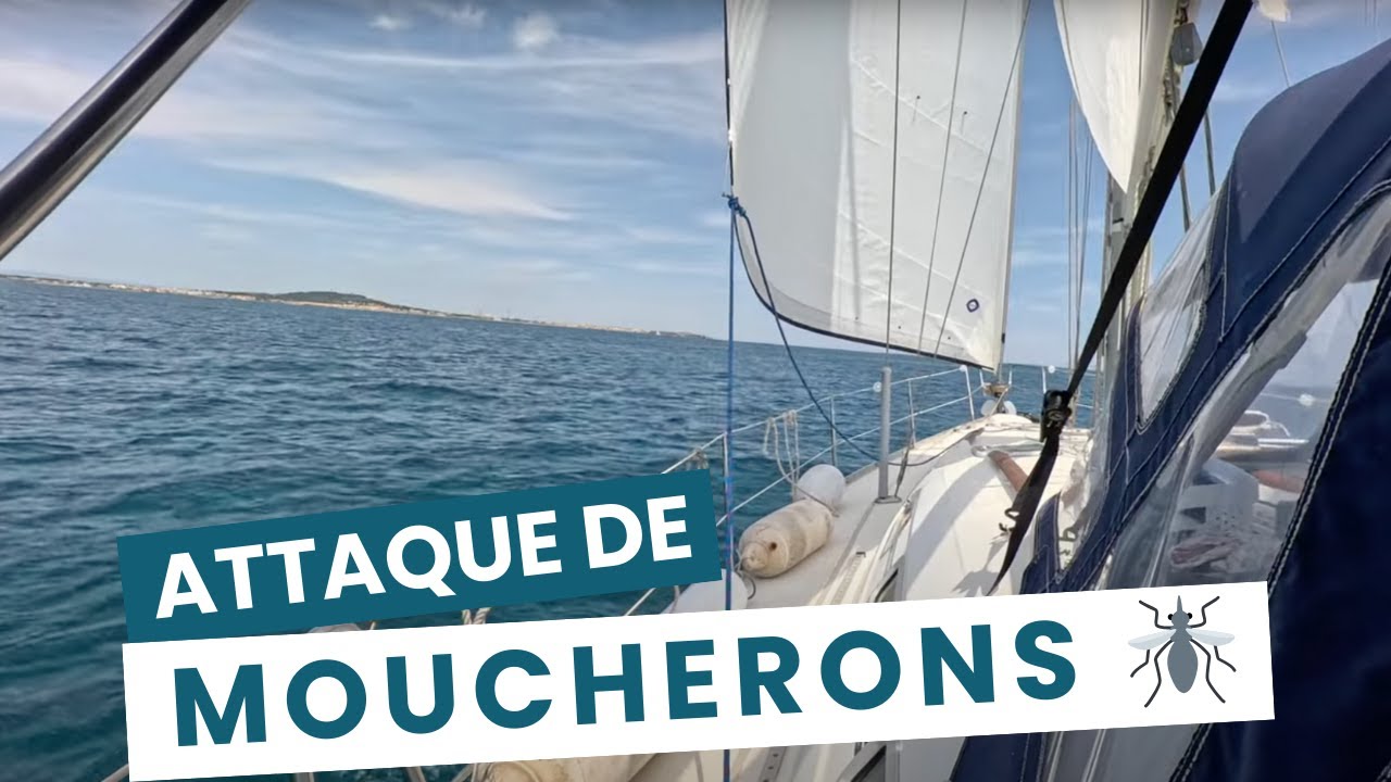 ⁣S01 EP06 - Direction le Cap d'Agde : ATTAQUE de Moucherons ! 🦟