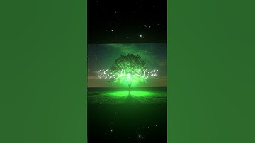 #سورة_الزمر |القارئ:#محمد_اللحيدان ||#quran #المصحف #القرآن_الكريم #تلاوة_خاشعة #تلاوة_هادئة