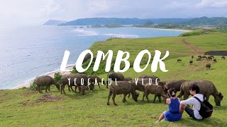 𝕃𝕆𝕄𝔹𝕆𝕂 𝘃𝗹𝗼𝗴 2 ⁞ Hidden Paradise in LOMBOK ⁞ Mandalika Circuit ⁞ Sasak Village⁞ Explore INDONESIA