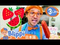 🍭 おいしいアイスポップを作ろう！ 🍦 | ブリッピ 日本語 - 幼児向け教育動画 Blippi
