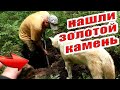 Нашли золотой камень в фундаменте дома ювелира. Находки есть коп удался. Кладоискатель Руся.