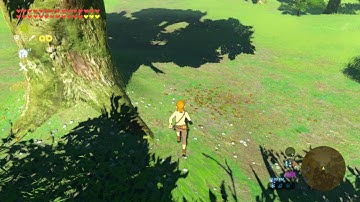 CEMU 1.8.1b - Zelda: Breath of the Wild CSM LOD