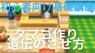 ダイパリメイク タマゴを作る方法をまとめました タマゴ技 性格の遺伝方法もこれを見れば分かります ポケットモンスターブリリアントダイヤモンド シャイニングパール Youtube