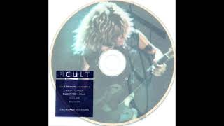 Video-Miniaturansicht von „The Cult - Wildflower (The Manor Sessions 1988)“