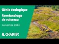 Reméandrage de ruisseau à Lanester