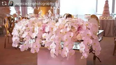 Wedding Video in Santa Barbra, Ca